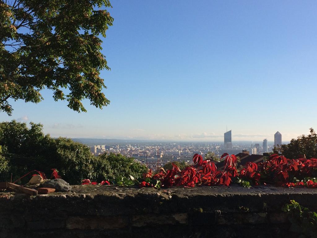 Le Jardin De Beauvoir Lyon Dış mekan fotoğraf